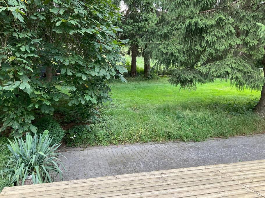 Wohnung In Idyllischem Oertchen Meschede Exterior foto